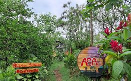Projeto Agrofloresta Sustentável tem novos desafios
