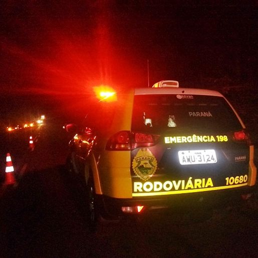 Motorista morre em colisão com árvore na PR-884