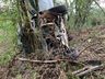 Carro sai da pista cai de ribanceira e fica preso em árvores na BR-282 em Iraceminha