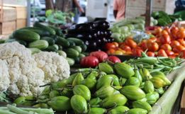 Secretaria de Agricultura inicia planejamento para realizar Feira Livre