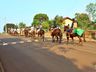 Cavalgada com a chama crioula marca o Dia do Gaúcho, em Iporã do Oeste