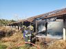 Incêndio danifica aviário em propriedade de Guarujá do Sul