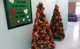 Mondaí define data para o Festival dos Pinheiros e acendimento das luzes de Natal