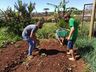 Casa Familiar Rural organiza projeto de doação de alimentos à comunidade