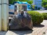 Lixo orgânico e Reciclável: saiba como separar e veja casos específicos em SMOeste