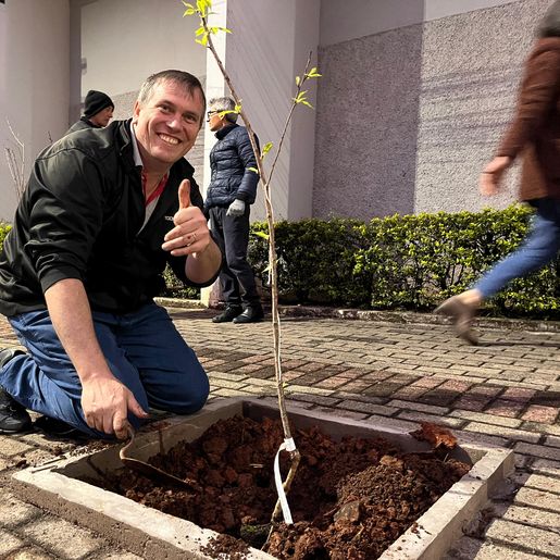 Igreja Matriz de SMO planta 30 árvores e integra desafio da arquidiocese de reflorestamento 
