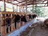 Exposição de animais será destaque na ExpoAnchieta em março