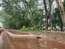 FOTOS: Temporal causa diversos danos em Itapiranga