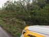 Motorista fica ferido em saída de pista seguida de choque em poste na SC-492