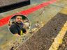 Tiro acidental deixa jovem gravemente ferido em Descanso