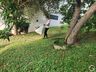 Saúde de Itapiranga realiza mutirão em combate à Dengue