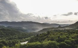 SC reduz desmatamento da Mata Atlântica em 12%, mas perda de restingas gera alerta