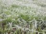 Município registra dia mais frio do ano