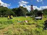 Bombeiros Comunitários de SJCedro participaram de treinamento no último sábado