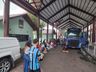 ONG Patinhas do Bem realiza campanha de castração com mais de 160 animais