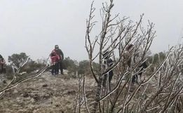 SC tem alerta para frio intenso e rajadas de vento de até 100 km/h