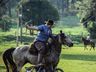 1º Torneio de Tiro de Laço de Vaca Mecânica movimenta Semana Farroupilha