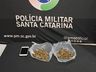 PM prende homem por tráfico de drogas em São Miguel do Oeste