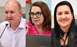 Vereadores de SMO defendem produtores e pedem veto ao leite em pó importado