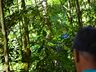 VÍDEO: Idoso que estava desaparecido é encontrado morto no Interior de Paraíso