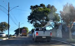 Regional da Saúde realiza ciclos de “fumacê” em São José do Cedro