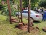Dia de Campo sobre Videira é realizado em Guarujá do Sul