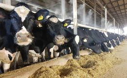 Cidasc atinge 65% das metas do ano em ações para o Extremo Oeste