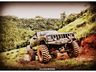 Trilha inédita dos Tigres Off Road reuniu mais de 200 participantes