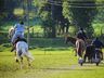 1º Torneio de Tiro de Laço de Vaca Mecânica movimenta Semana Farroupilha
