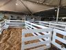 Parque de exposições começa receber animais para 11ª Efrait