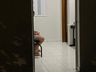 Casal é preso por tráfico de drogas em São Miguel do Oeste