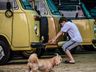 Velho Oeste Car Club promove a 4ª edição do Encontro de Carros Antigos
