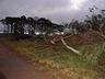 Vento e chuva  forte deixa prejuízos em Campo Erê e região  