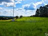 OUÇA: Peperi anuncia projeto para Parque Florestal na Linha Emboaba