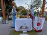 Fiéis católicos de Palma Sola celebram Corpus Christi