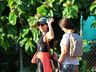 Caminhada da Primavera reúne mais de 500 pessoas neste domingo em SMO