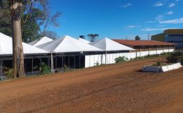 Expo Cedro 2025: programação espetacular e tempo bom atraem visitantes