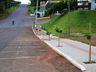 Prefeitura de SJCedro trabalha no plantio de árvores