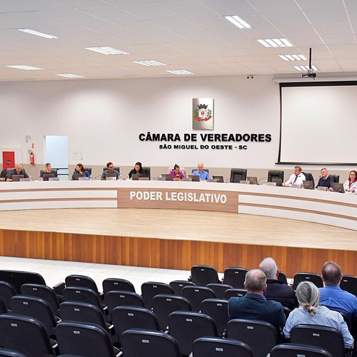 Câmara aprova moção que pede revitalização completa da Avenida Willy Barth em São Miguel do Oeste
