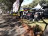 Itaipu Rural Show começa com muitas novidades 