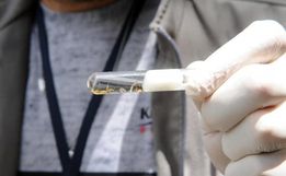 ATENÇÃO: Casos de dengue em São Miguel chegam a 131