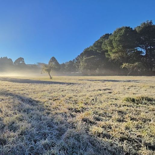 Massa de ar frio fará temperatura despencar em SC