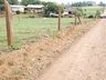 Vídeo:Dois bovinos morrem eletrocutados após caminhão derrubar poste no interior de Iporã do Oeste