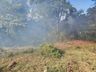 Incêndio no interior de Itapiranga atinge quatro hectares de mata nativa