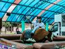Feirão do Imposto movimenta praça em São Miguel do Oeste