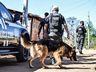 Núcleo de Operações com Cães é instalado em SMOeste