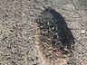 Coordenadoria Regional de Infraestrutura esteve em Princesa nesta segunda-feira