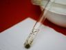 Em duas semanas, Itapiranga contabiliza 12 focos do mosquito da dengue