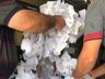 Santa Terezinha do Progresso sorteia 20 mil reais em prêmios 