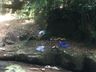 Moradores denunciam descarte de lixo em áreas de turismo e lazer em SJCedro